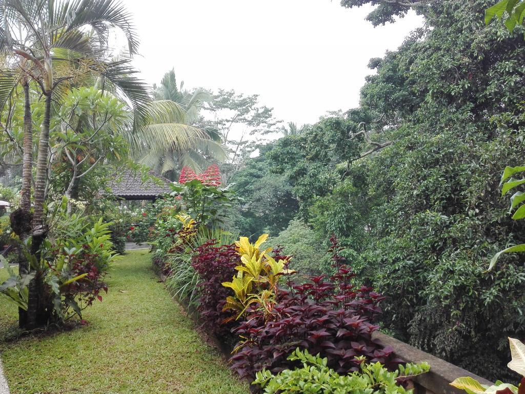 Villa Alam Surya Ubud Exterior photo